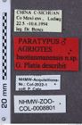 Etikette zu Agriotes baotianmanensis (NHMW-ZOO-COL-0008801)